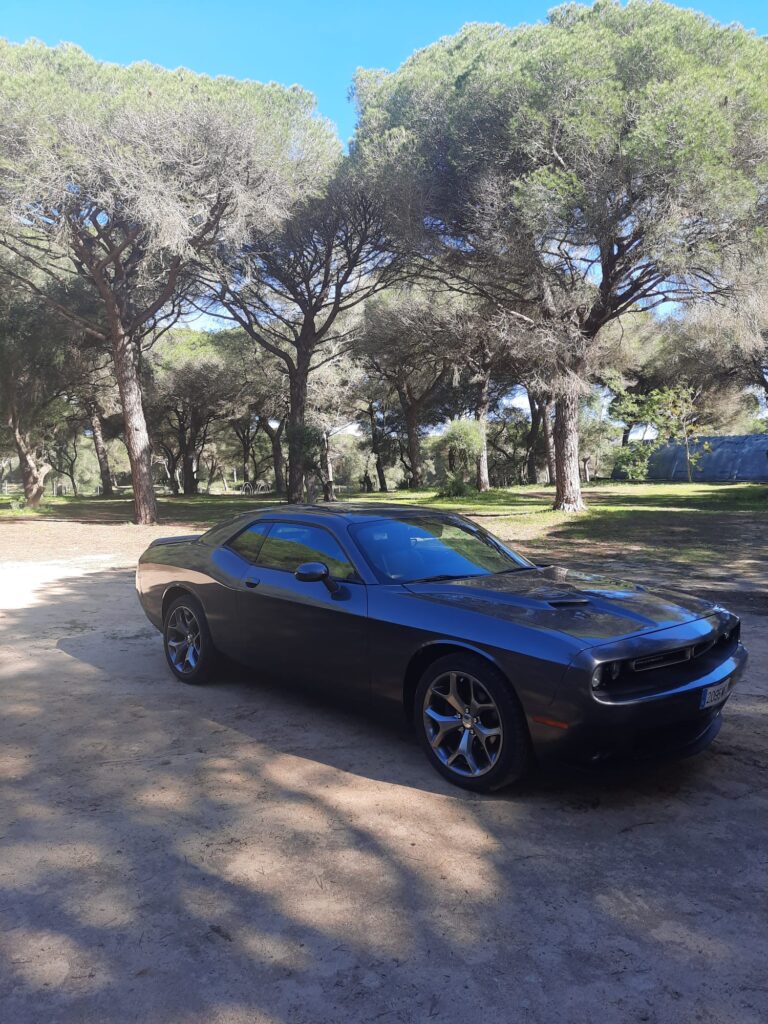 Dodge Challenger Sevilla (4)